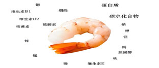 带你了解虾仁